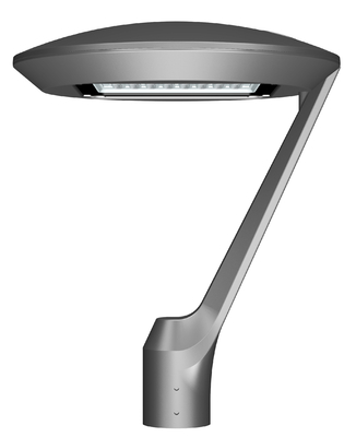TUV CB ENEC SAA SABER CE RoHS Approved 100W CROWN LED Street Garden Light Urban Lighting IP66 Waterproof Outdoor